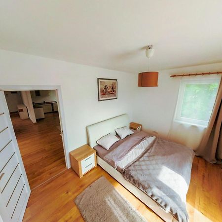 Dariana House Brasov公寓 外观 照片